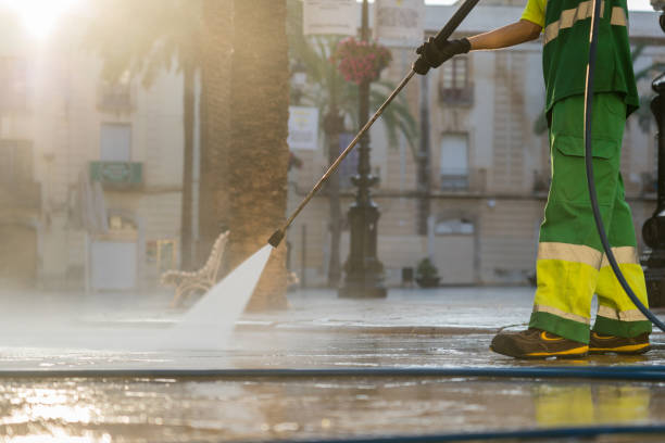 Best Sidewalk and Walkway Cleaning  in South Pasadena, FL